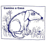 Camino a Casa