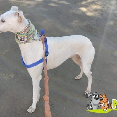 272811718_4288927631207708_3134685121518932704_n