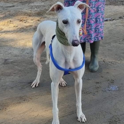 272897992_4288927337874404_2620871162625247244_n