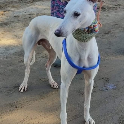 272908952_4288927507874387_2449992005720437941_n