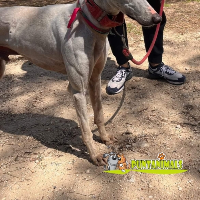 276152827_4501697619930707_7612932748025061614_n