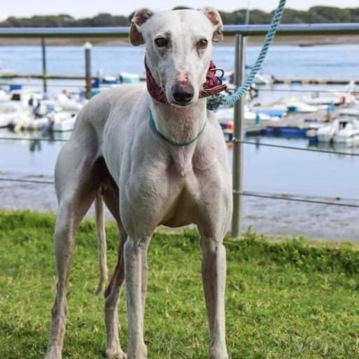 278260396_4501697716597364_8159202036579142127_n