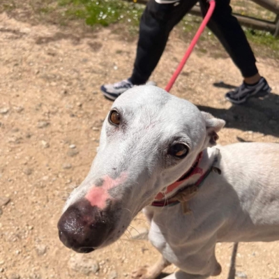 278570758_4501697236597412_6511938709360828704_n