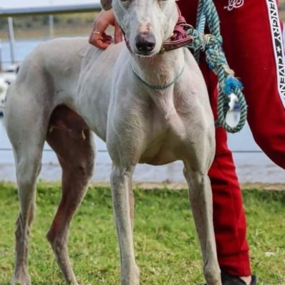 290142410_4684195241680943_5276827218750507200_n