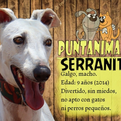 334681927_904971467490433_3404006434981999480_n