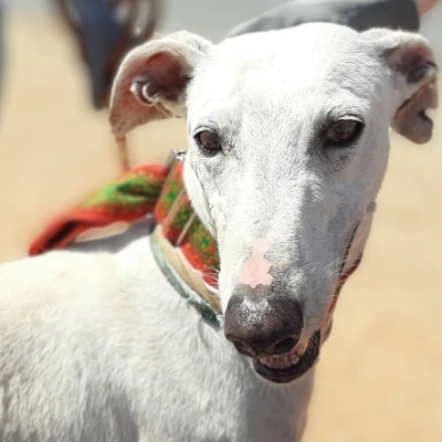 334953094_122178387473895_1164216577456930058_n