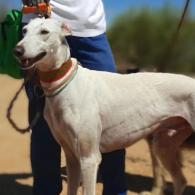 334962800_224269933318654_1041642291647693193_n