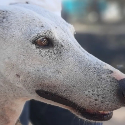 334963426_1854490424908798_5641577854549995596_n