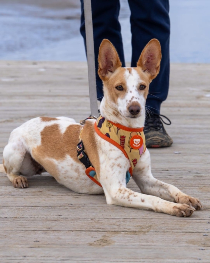 PHOTO-2024-03-20-11-24-58 3