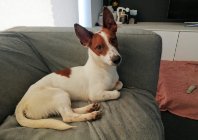 PHOTO-2025-03-03-10-46-58