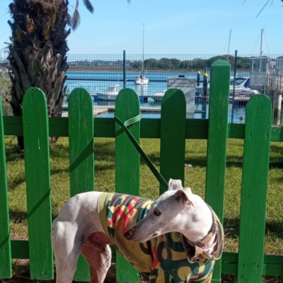 PHOTO-2025-02-10-18-53-17 2