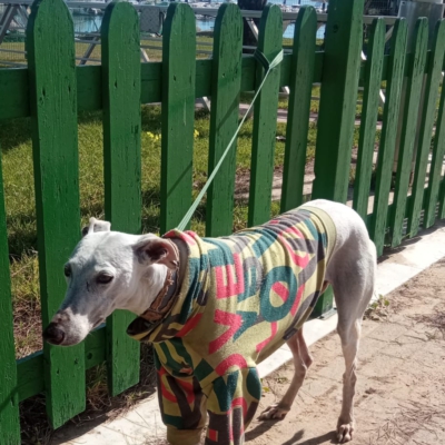 PHOTO-2025-02-10-18-53-17