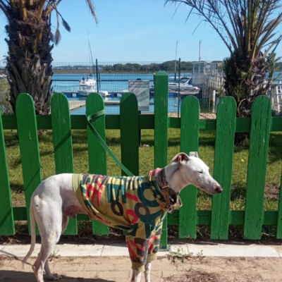 PHOTO-2025-02-10-18-53-18