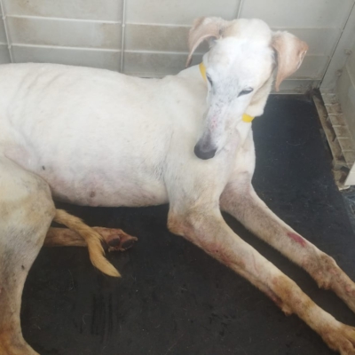 PHOTO-2025-05-25-14-14-40