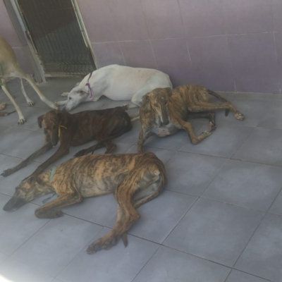 PHOTO-2025-05-25-14-21-18