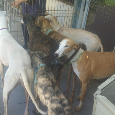 PHOTO-2025-05-25-14-23-19