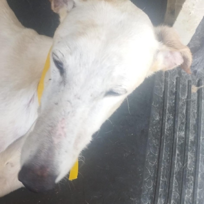 PHOTO-2025-05-25-14-23-51