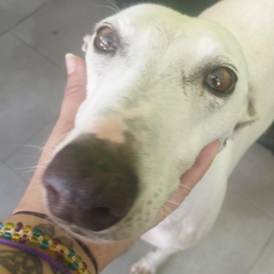 PHOTO-2025-05-25-14-29-02