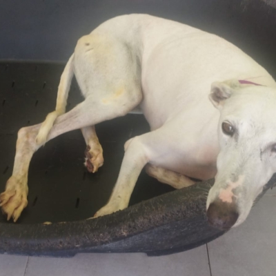 PHOTO-2025-05-25-14-29-11