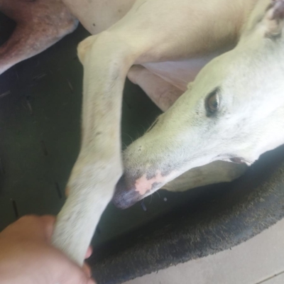 PHOTO-2025-05-25-14-29-20