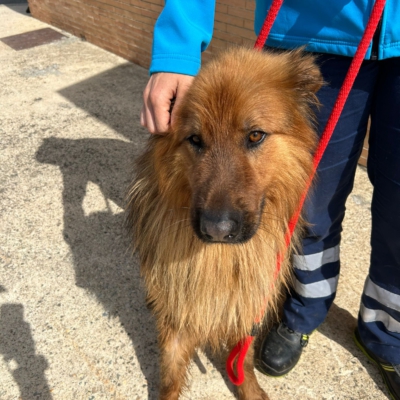 PHOTO-2025-05-29-19-44-48 4