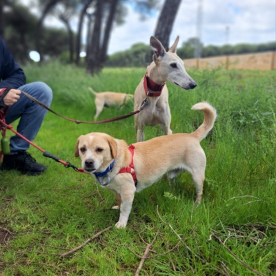 PHOTO-2025-04-19-15-19-22 3
