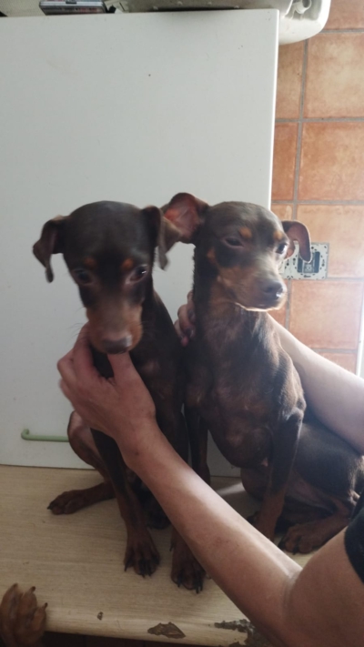 PHOTO-2025-06-08-14-39-53