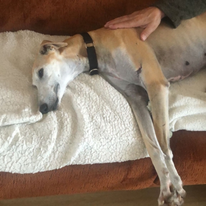 538399575_1194386022719797_4233505500271251307_n