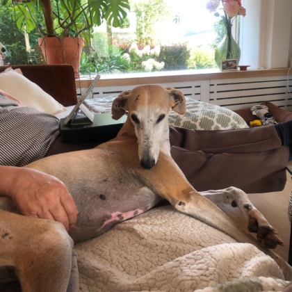 539035304_1194385969386469_9139542288163189111_n