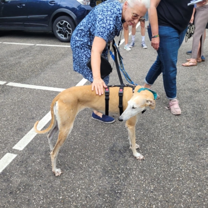 539398506_1194386039386462_5748262607370207341_n