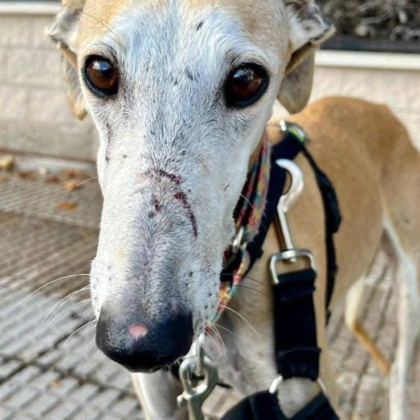 540039444_1194385996053133_421123820262524138_n