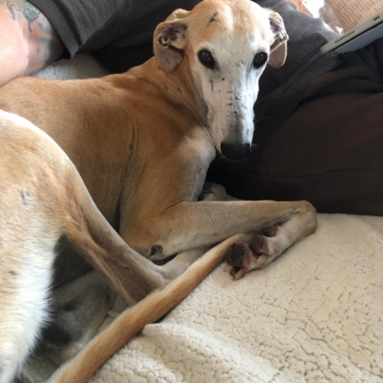 540508487_1194385989386467_884720429193306649_n