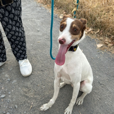 PHOTO-2025-09-21-19-24-39 2