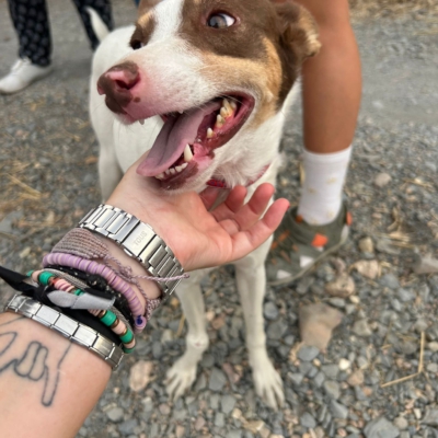 PHOTO-2025-09-21-19-24-39 3