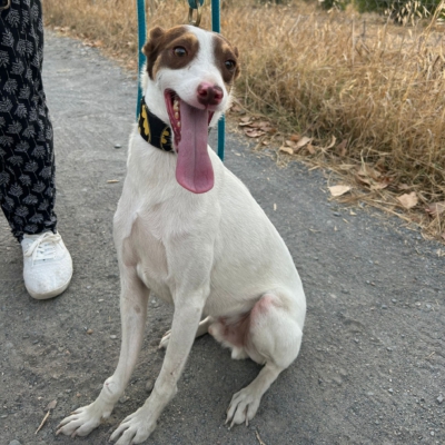 PHOTO-2025-09-21-19-24-39