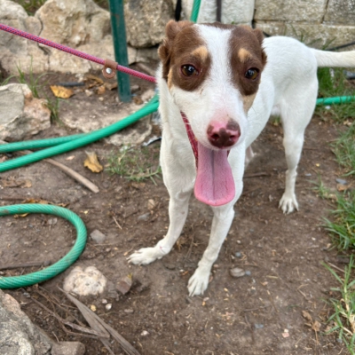 PHOTO-2025-09-21-19-24-40