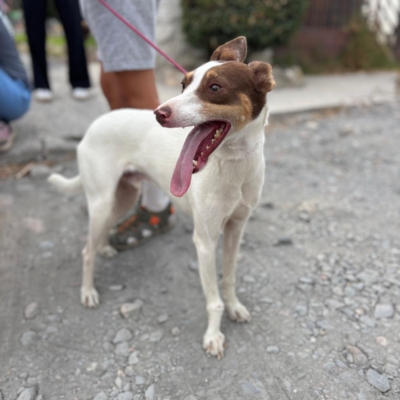 PHOTO-2025-09-23-15-56-43 2