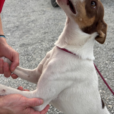 PHOTO-2025-09-23-15-56-43