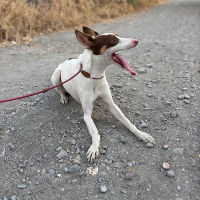 PHOTO-2025-09-23-15-56-44