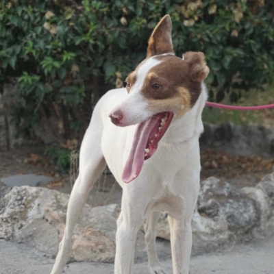 PHOTO-2025-09-23-19-00-16 2