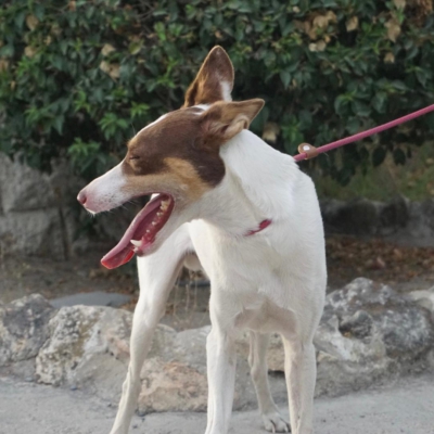 PHOTO-2025-09-23-19-00-16 3