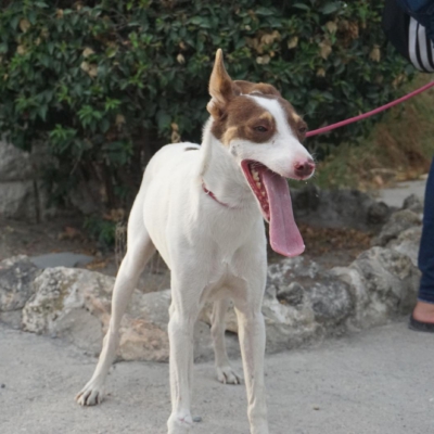 PHOTO-2025-09-23-19-00-16 4