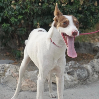 PHOTO-2025-09-23-19-00-16