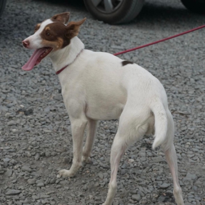 PHOTO-2025-09-23-19-00-16 5