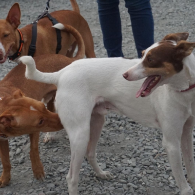 PHOTO-2025-09-23-19-00-16 6