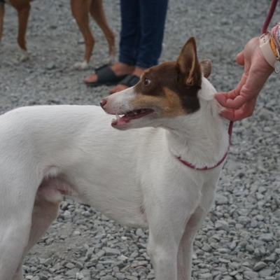 PHOTO-2025-09-23-19-00-16 7