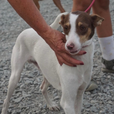 PHOTO-2025-09-23-19-00-17 2