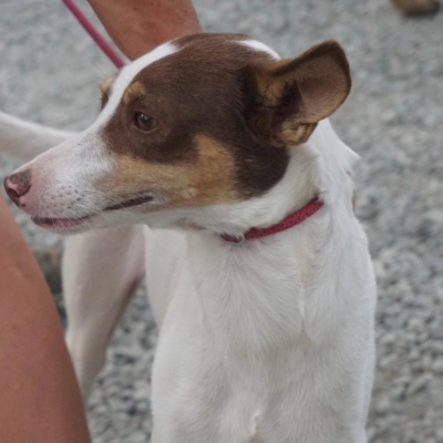 PHOTO-2025-09-23-19-00-17 3