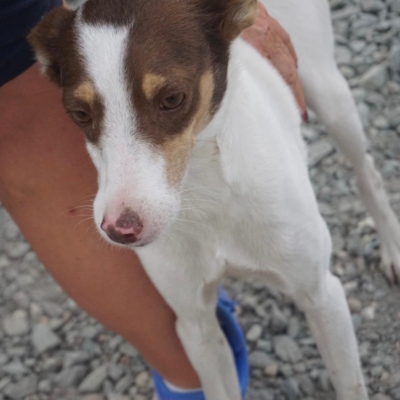 PHOTO-2025-09-23-19-00-17 4