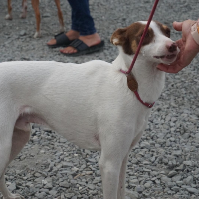 PHOTO-2025-09-23-19-00-17